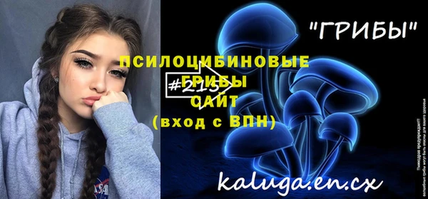 дурь Наволоки