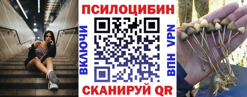 Галлюциногенные грибы GOLDEN TEACHER  МЕГА сайт  Черногорск  даркнет сайт 